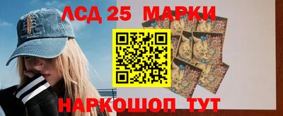 ALPHA PVP Гатчина