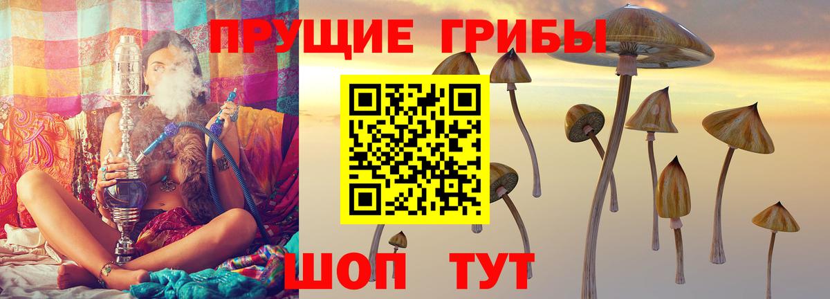 Псилоцибиновые грибы GOLDEN TEACHER  Вход с VPN  Донецк 